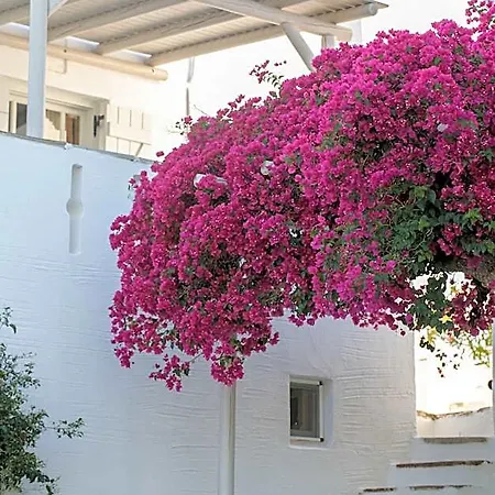 Ostria Hotel Naxos City